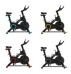 Bodytone Active 200 Indoor Cycle
