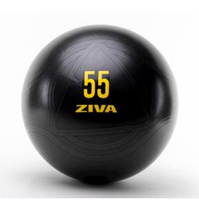 Fitball Ziva Anti-Burst Core-Fit Ball Essential PRO  (Diámetro: 55cm)