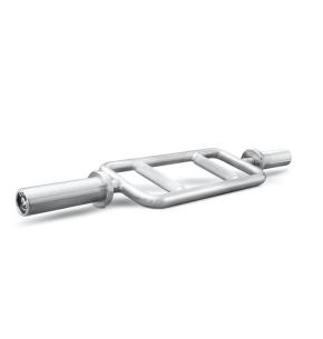 Ruster Triceps stalen Olympische bar