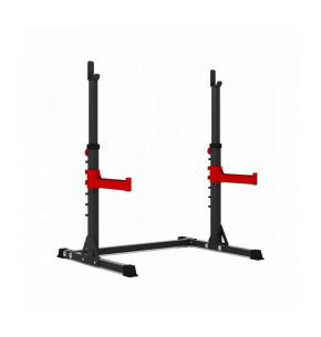 Titanium Strength Squat Rack - Dip Stand RS20