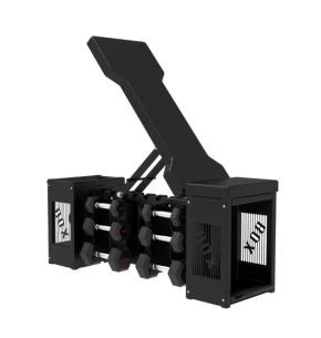 ION Fitness IF1025 Multipositionele Bank