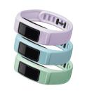 Garmin vívofit 2 Large Sereen (Mintgroen/wit/lila) Banden Garmin vívofit 2 Large Sereen (Mintgroen/wit/lila) Banden