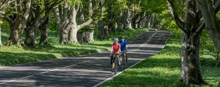 garmin Edge Touring