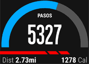 garmin vivoactive