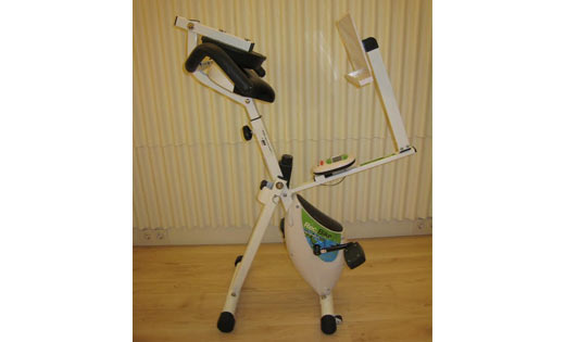 Tecnovita YF93 rec-bike
